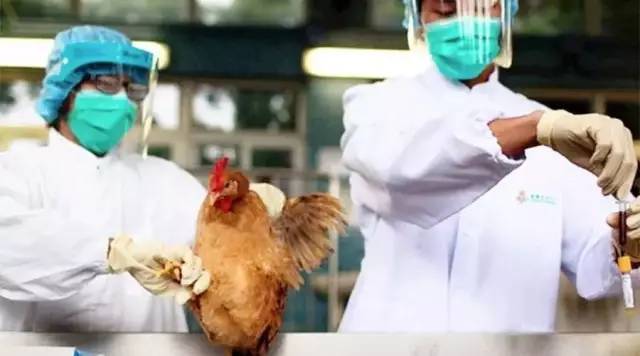 陕西H7N9疫情最新分析报告