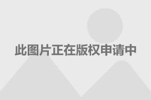 武宁路改建最新动态，城市发展与民生福祉的和谐共鸣