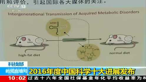 揭秘最新科学突破，重塑宇宙与生命认知的惊人发现（2016年）